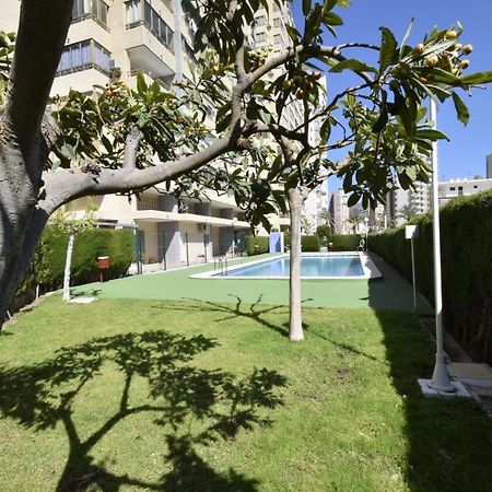 Mariscal 4 - Fincas Arena 貝尼多姆 外观 照片