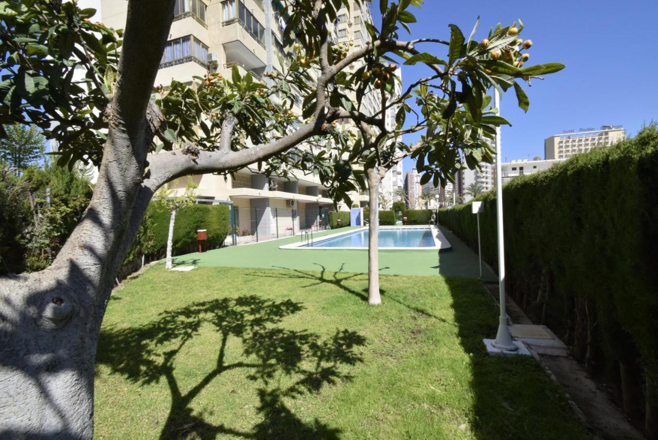 Mariscal 4 - Fincas Arena 貝尼多姆 外观 照片