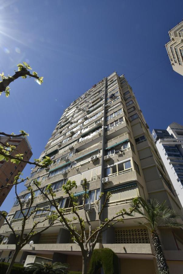 Mariscal 4 - Fincas Arena 貝尼多姆 外观 照片